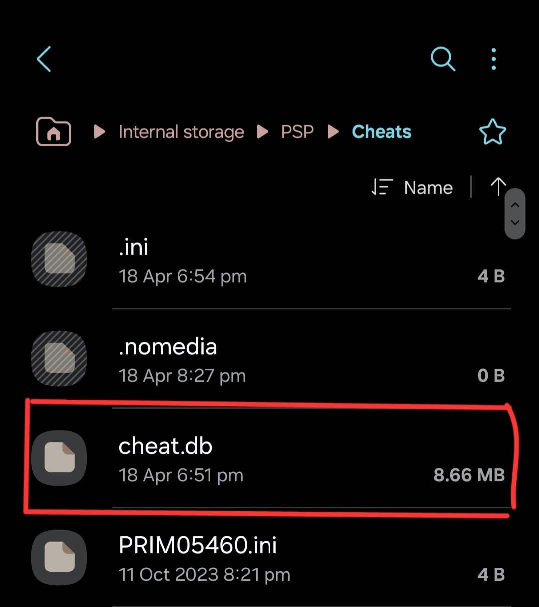Place the Cheat File in the PSP Folder